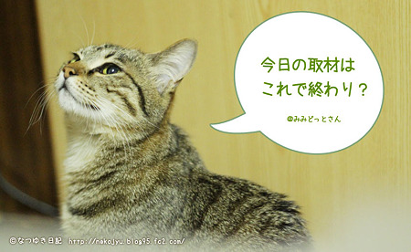 セリフ
