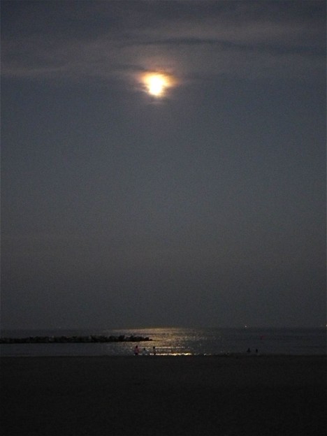 月の光と海