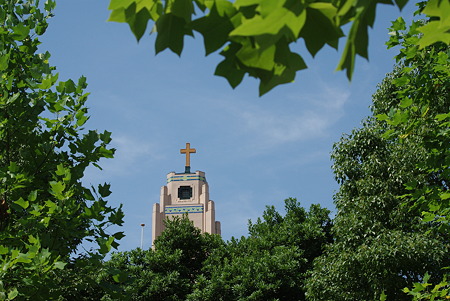 IMGP0733