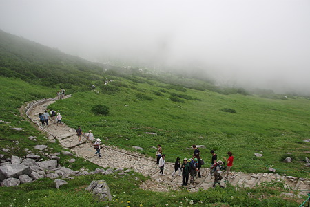 IMGP3931