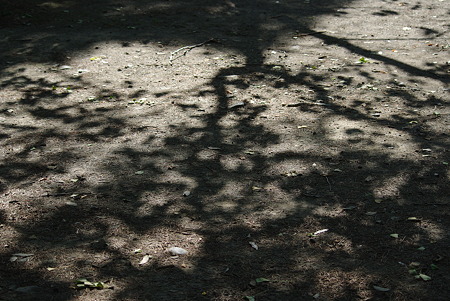IMGP5072