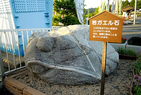 DSCN2667