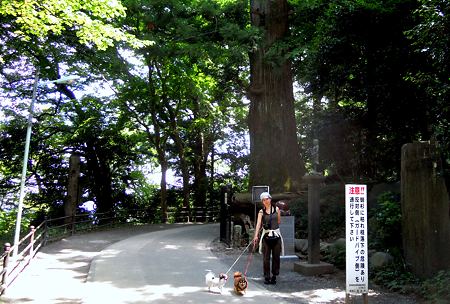 DSCN3503