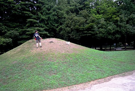 DSCN3453