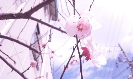 2011-03-23-11-21-51