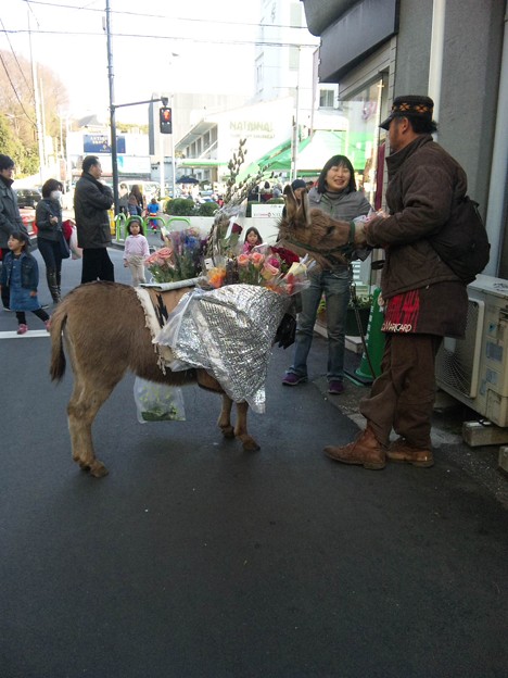 広尾駅付近に ろばの花屋さ 写真共有サイト フォト蔵