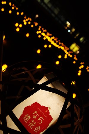なら燈花会
