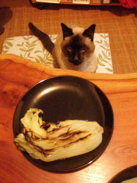 食卓に一番乗りのお客