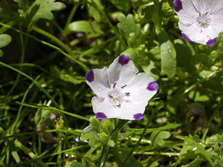 P7041068