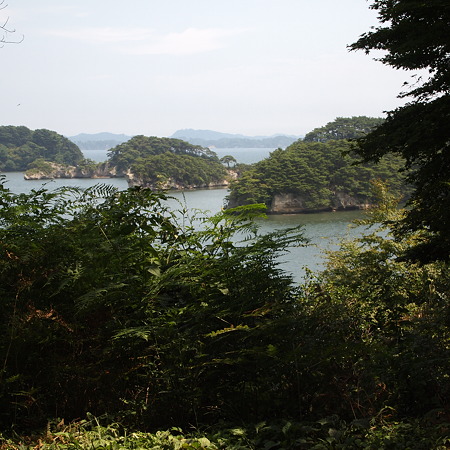 P8084924