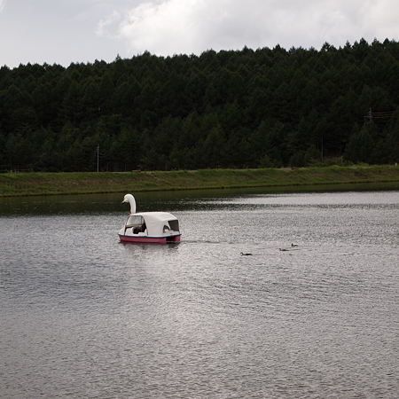 P8265012
