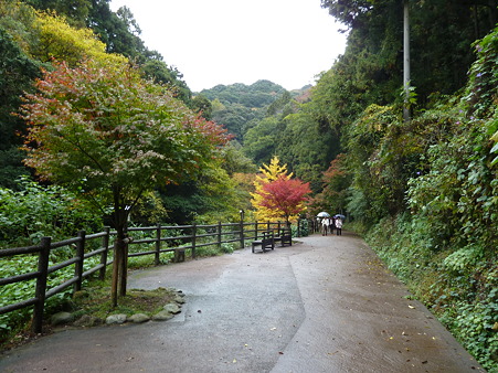 2010箱根伊豆 194