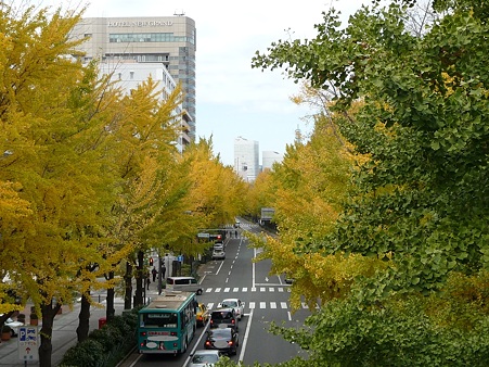 101119-紅葉 山下公園通り (53)