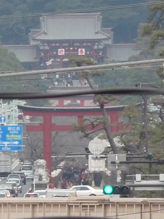 110115-若宮大路 (13)