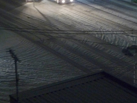 120211-雪降ってきた-2 (1)