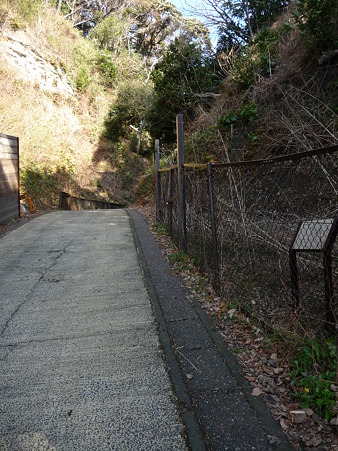 110225-亀が谷切通し (8)