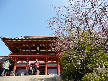 110225-鶴岡八幡宮 (39)
