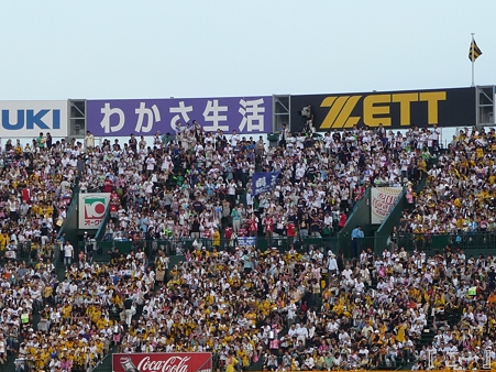 110828-甲子園T×S (30)