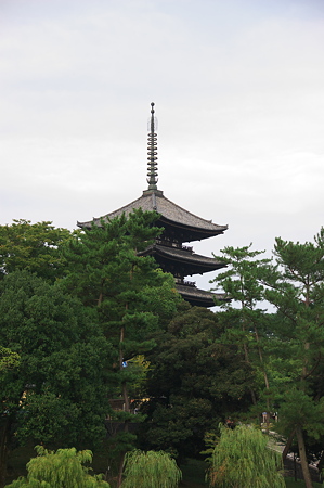 興福寺
