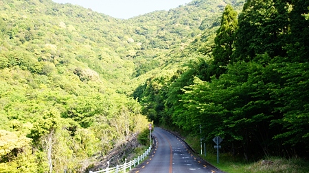 四国ドライブ (22) (800x450)