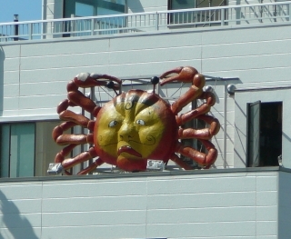 人面カニ