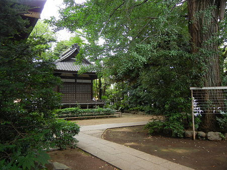 境内-奥澤神社 (世田谷区奥沢)