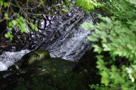 IMGP0534