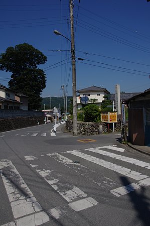 IMGP1231