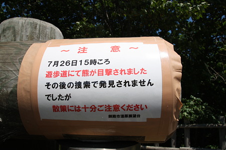 熊の目撃情報にビビリました