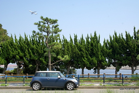 DSC05611