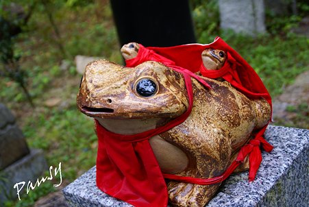 雨に濡れた・・丸い瞳・・