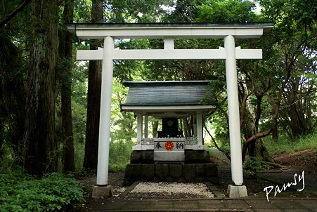 白龍神社・・九頭龍の森・・2