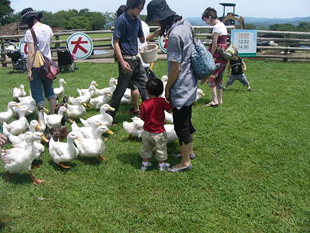 7月　マザー牧場