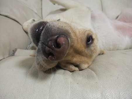 写真撮った?!