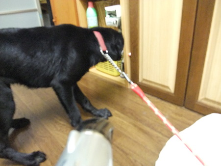 逃げる逃げる