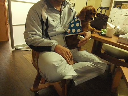 なんやあの犬・・・怖い・・・