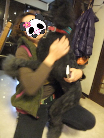 抱っこ大好きの甘えたさん
