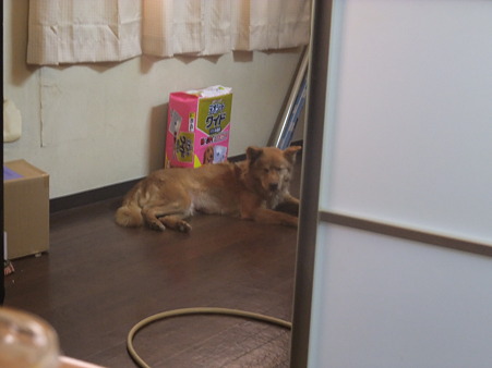 私はここでいいです・・・