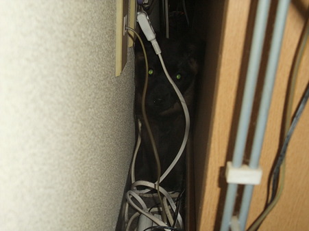 うた発見!!