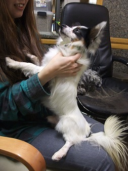 首もみもみが