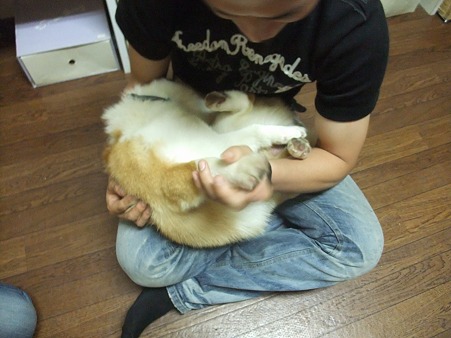 くねくね~