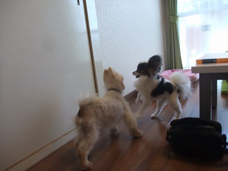 こんなかんちゃん初めて見た!!