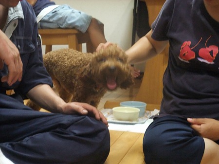 うん、僕仲良くできるよ~~