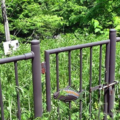 怪しい P1050666.jpg