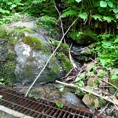 クリックで拡大 P1050688.jpg