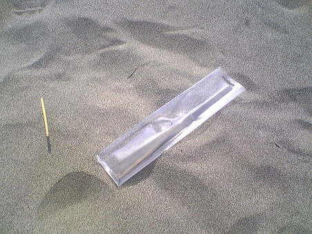 小針浜ビーチクリーン (2)