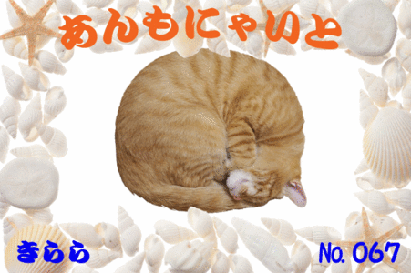 きららちゃん640×426