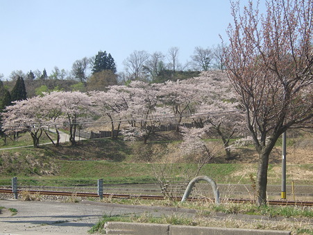 DSCF5031