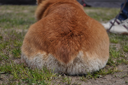 DSC_0119