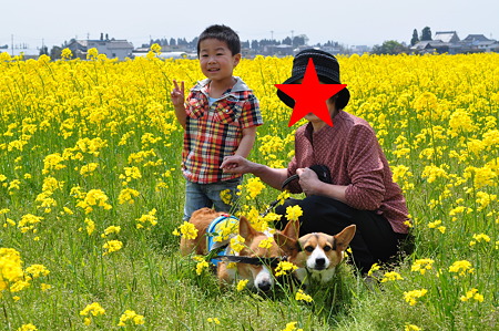 DSC_0265修正
